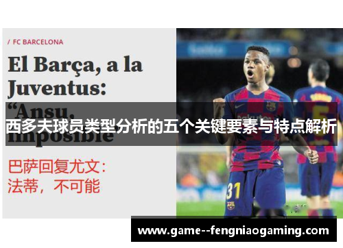 西多夫球员类型分析的五个关键要素与特点解析 西多夫球员类型分析的五个关键要素与特点解析