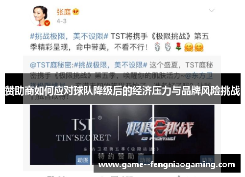 赞助商如何应对球队降级后的经济压力与品牌风险挑战 赞助商如何应对球队降级后的经济压力与品牌风险挑战