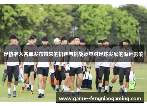 足协准入名单发布带来的机遇与挑战及其对足球发展的深远影响