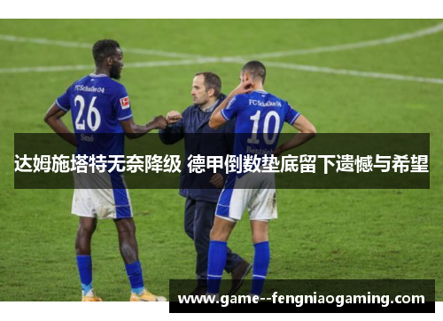 达姆施塔特无奈降级 德甲倒数垫底留下遗憾与希望